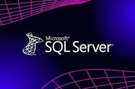 Business Professionals: Key Considerations in Utilizing Ba Insight's Microsoft SQL Server Connector for SearchBusiness Professionals: Key Considerations in Utilizing Ba Insight's Microsoft SQL Server Connector for Search